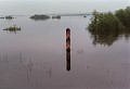 Oderhochwasser