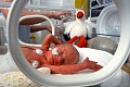 S&auml;ugling im Brutkasten